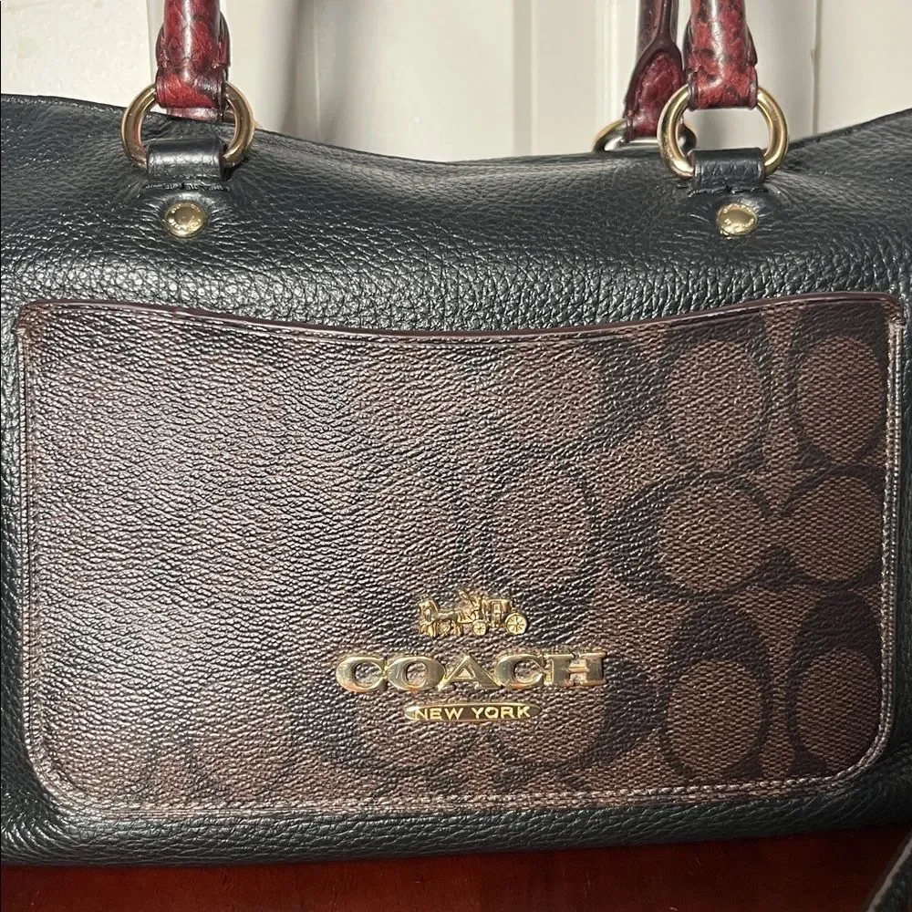 Coach Exotic Mini Emma Satchel Top Handle Python Accent Black Brown Leather Bag
